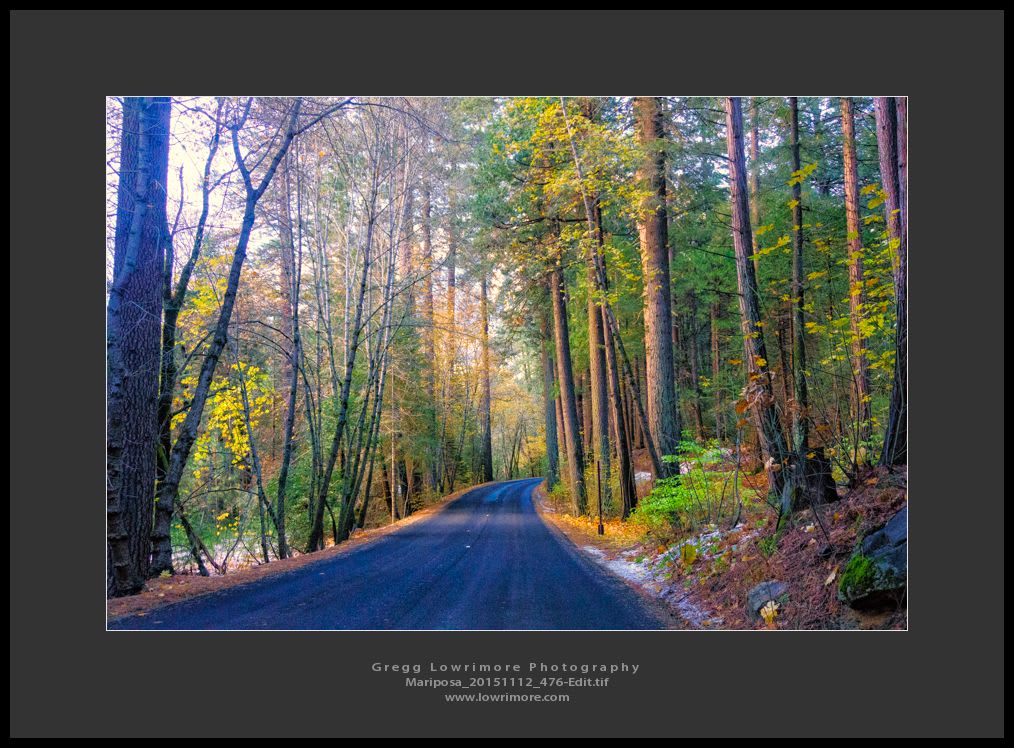 Mariposa 20151112 476 Edit